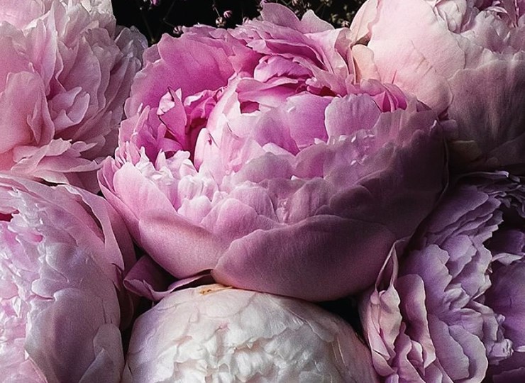 NADA-GHAZAL_ABOUT_HER-INSPIRATION_FINEJEWELRY_PEONIES